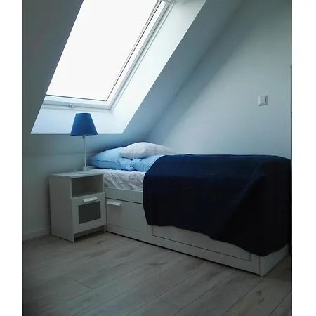 Moderne Mit Sauna & Terrasse Daire